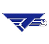 Logo for Triton High School, in Erwin, NC. Features a capital T being manipulated to become part of the wing of an eagle.