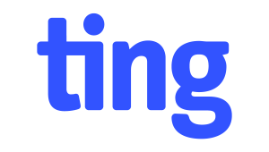 Ting Internet Logo. The word "ting" is spelled out in lower case, blue font.